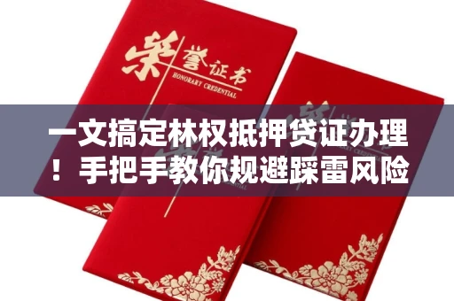 全国一文搞定林权抵押贷证办理！手把手教你规避踩雷风险