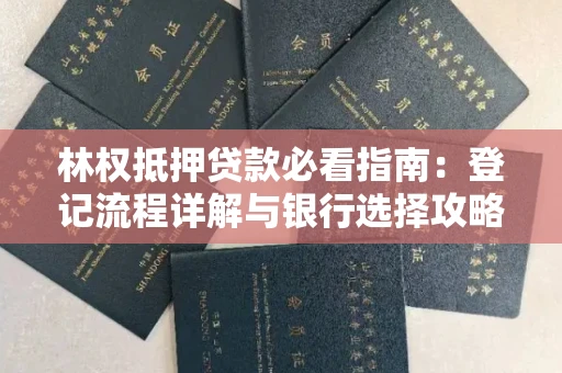全国林权抵押贷款必看指南：登记流程详解与银行选择攻略