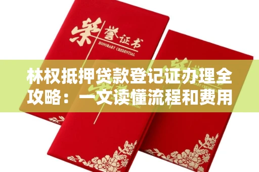 全国林权抵押贷款登记证办理全攻略：一文读懂流程和费用