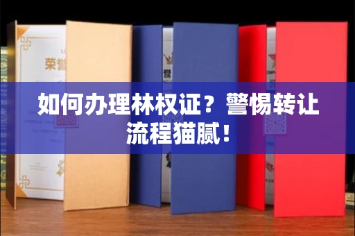 全国如何办理林权证？警惕转让流程猫腻！