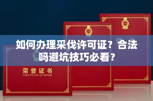 全国如何办理采伐许可证？合法吗避坑技巧必看？