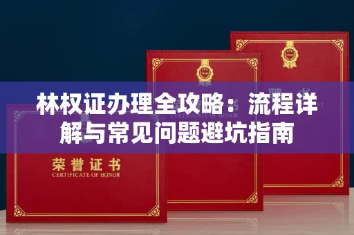 全国林权证办理全攻略：流程详解与常见问题避坑指南