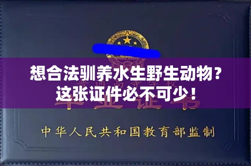 全国想合法驯养水生野生动物？这张证件必不可少！