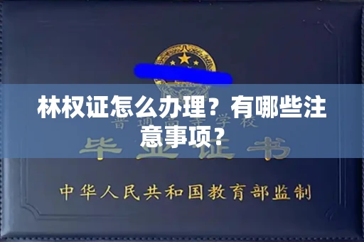 全国林权证怎么办理？有哪些注意事项？