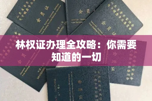全国林权证办理全攻略：你需要知道的一切