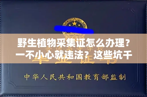 全国野生植物采集证怎么办理？一不小心就违法？这些坑千万别踩！
