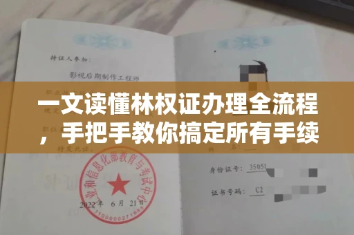 全国一文读懂林权证办理全流程，手把手教你搞定所有手续