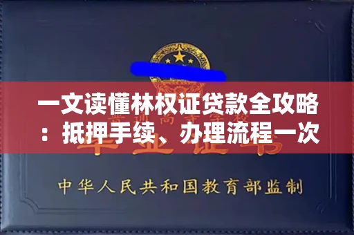 全国一文读懂林权证贷款全攻略：抵押手续、办理流程一次说清