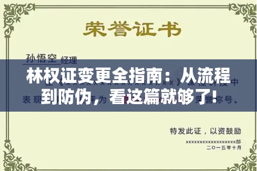 全国林权证变更全指南：从流程到防伪，看这篇就够了!
