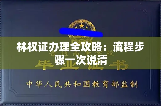 全国林权证办理全攻略：流程步骤一次说清