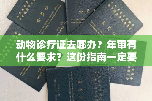 全国动物诊疗证去哪办？年审有什么要求？这份指南一定要收好