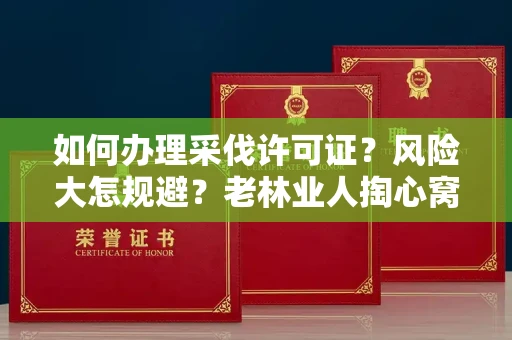 全国如何办理采伐许可证？风险大怎规避？老林业人掏心窝子说真话