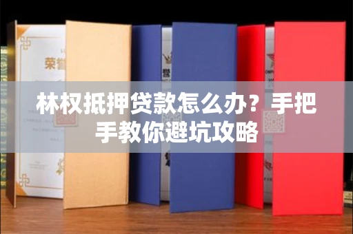 全国林权抵押贷款怎么办？手把手教你避坑攻略
