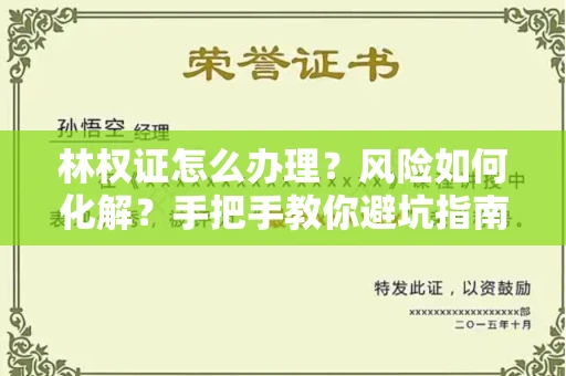 全国林权证怎么办理？风险如何化解？手把手教你避坑指南