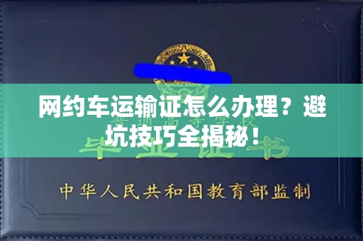 全国网约车运输证怎么办理？避坑技巧全揭秘！