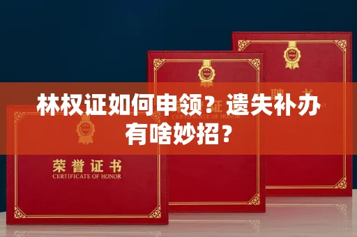 全国林权证如何申领？遗失补办有啥妙招？
